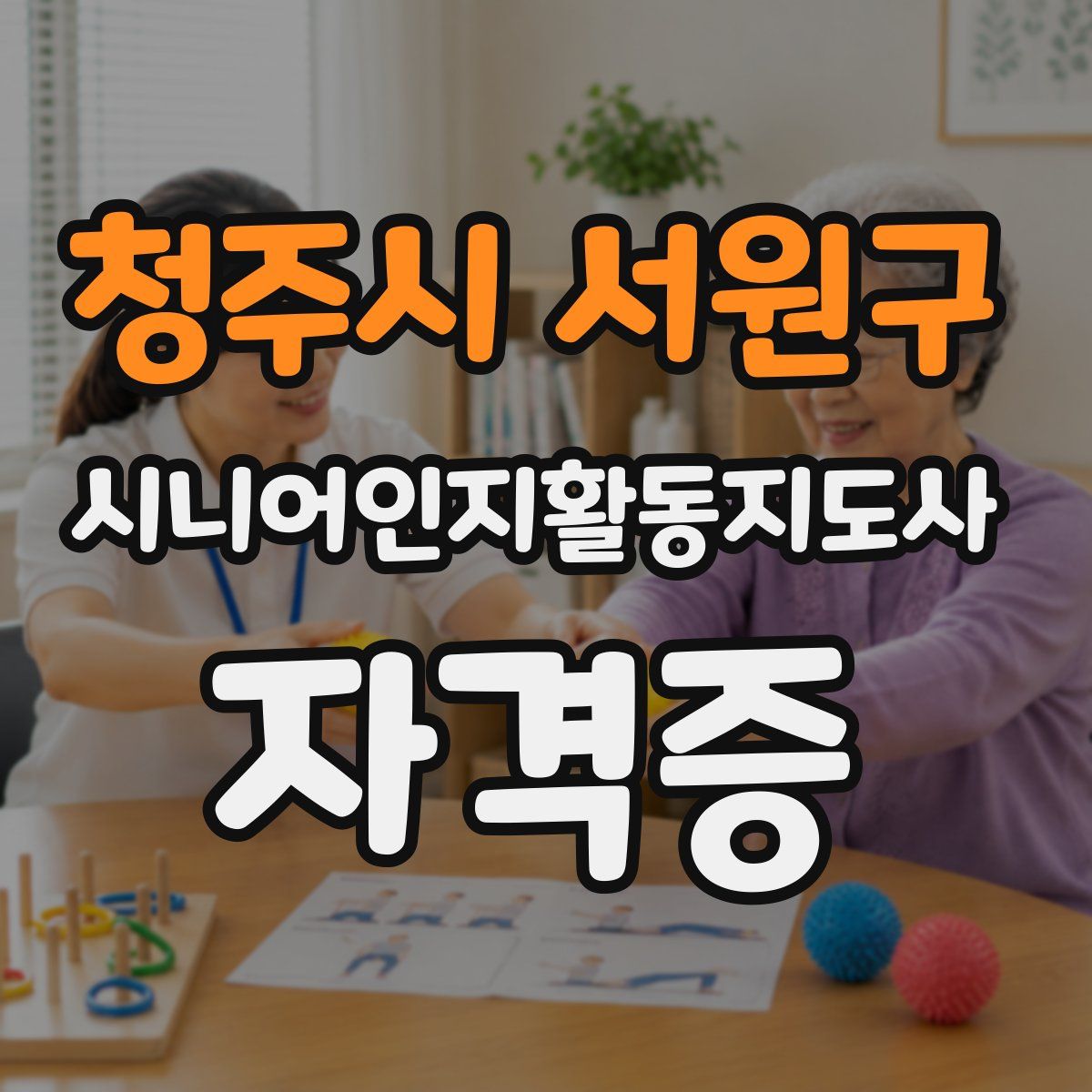 청주시 서원구 시니어인지활동지도사 자격증