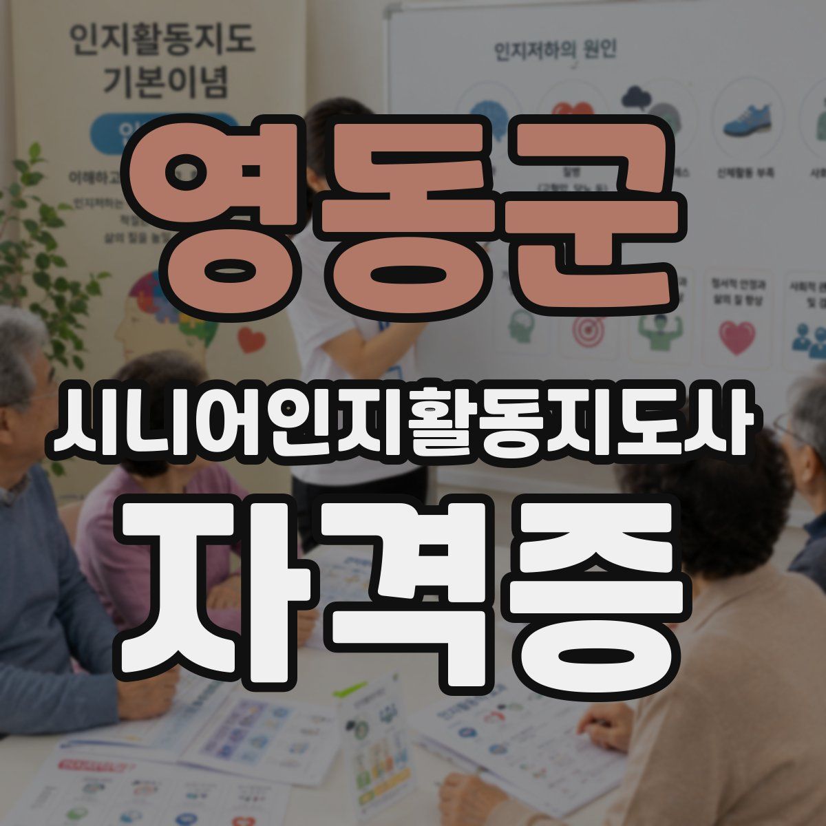 영동군 시니어인지활동지도사 자격증
