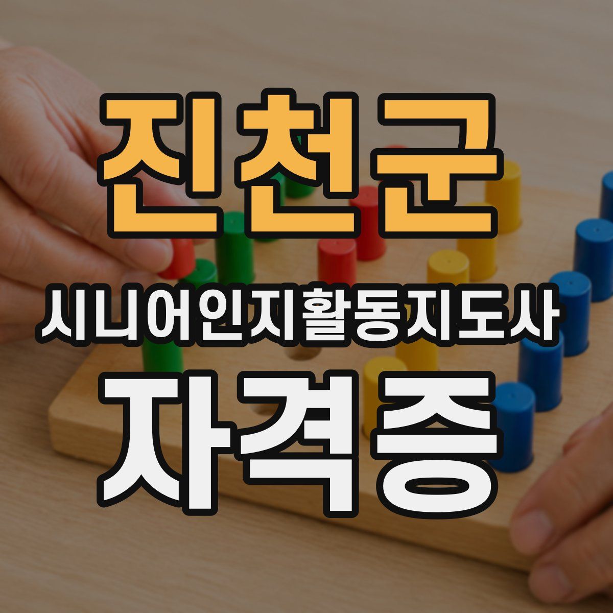 진천군 시니어인지활동지도사 자격증