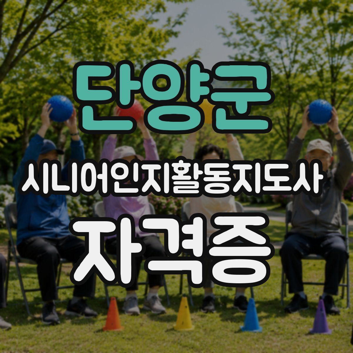 단양군 시니어인지활동지도사 자격증