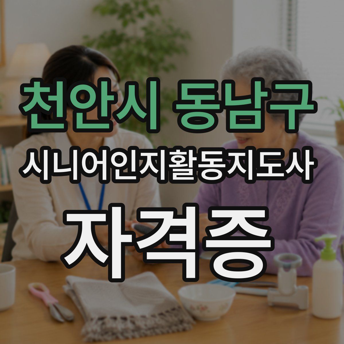 천안시 동남구 시니어인지활동지도사 자격증