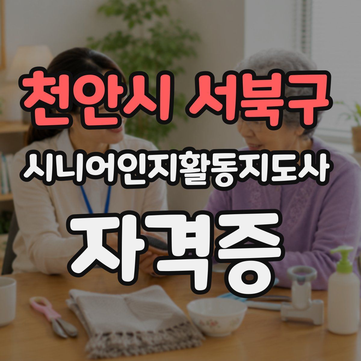 천안시 서북구 시니어인지활동지도사 자격증