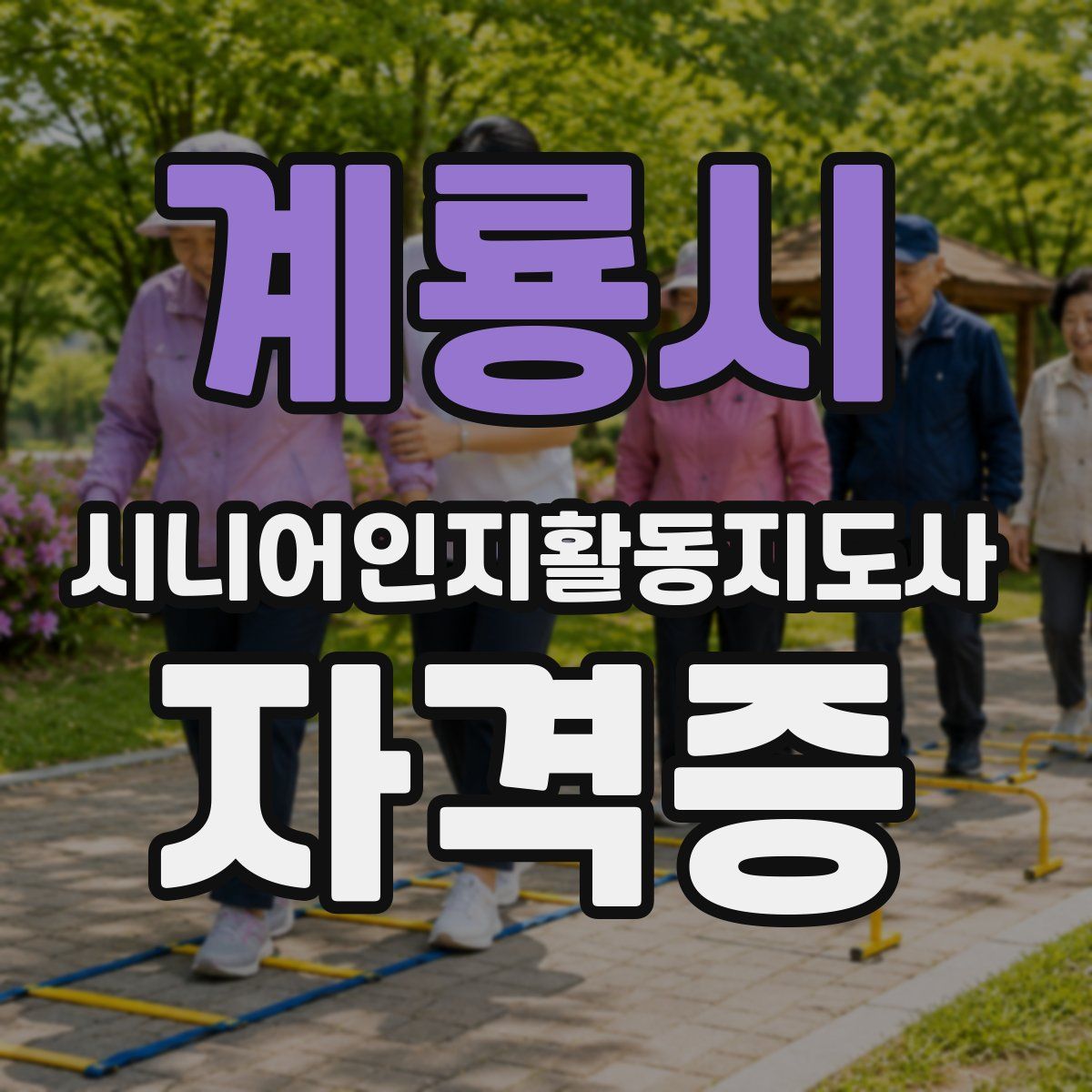 계룡시 시니어인지활동지도사 자격증
