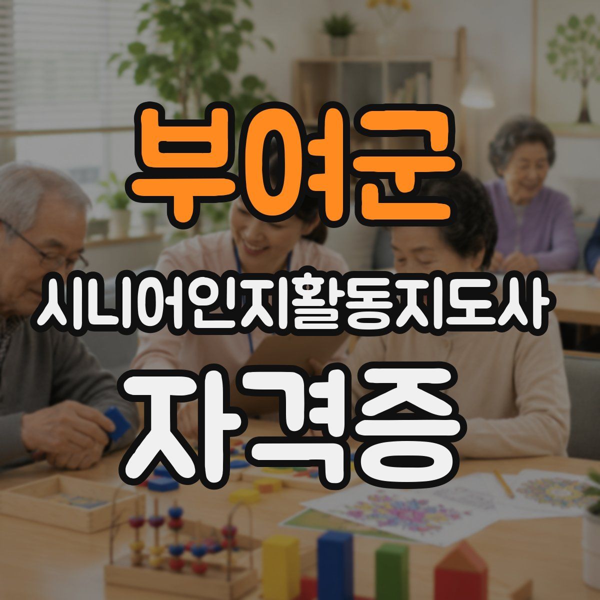 부여군 시니어인지활동지도사 자격증
