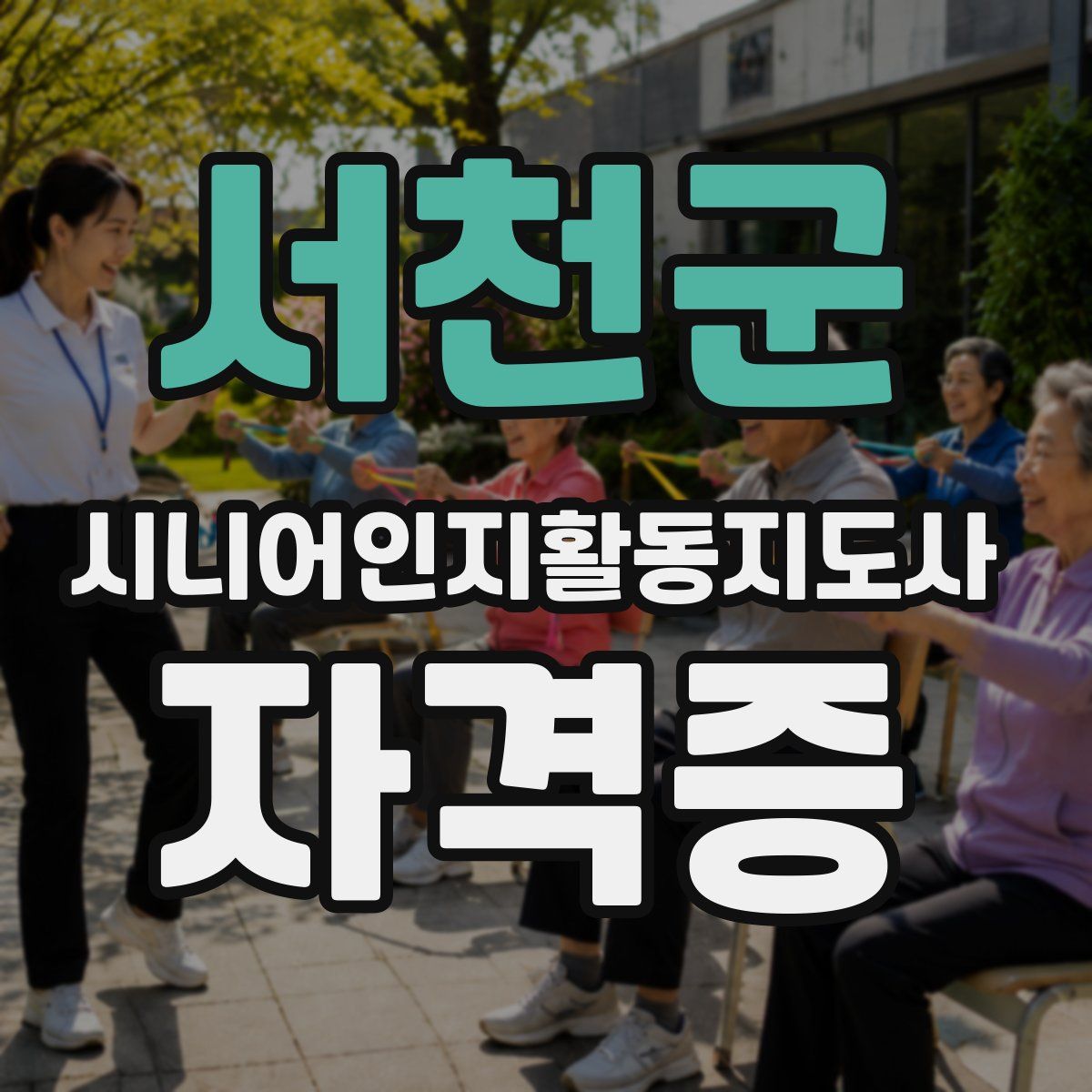 서천군 시니어인지활동지도사 자격증