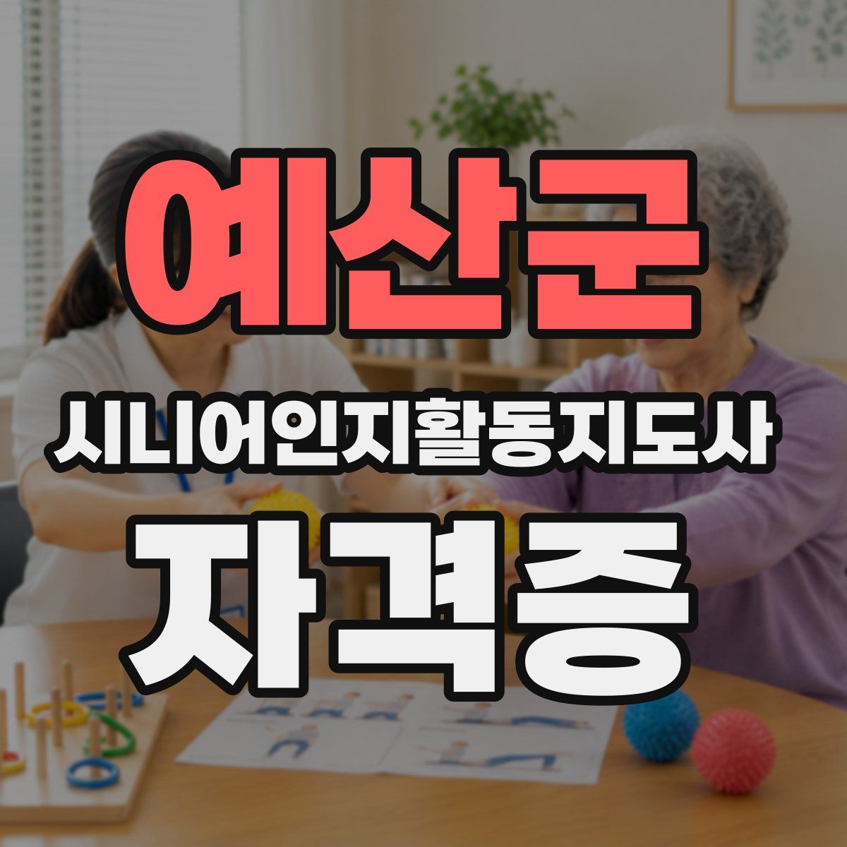 예산군 시니어인지활동지도사 자격증