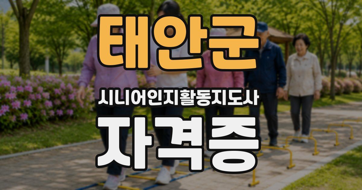 태안군 시니어인지활동지도사 자격증