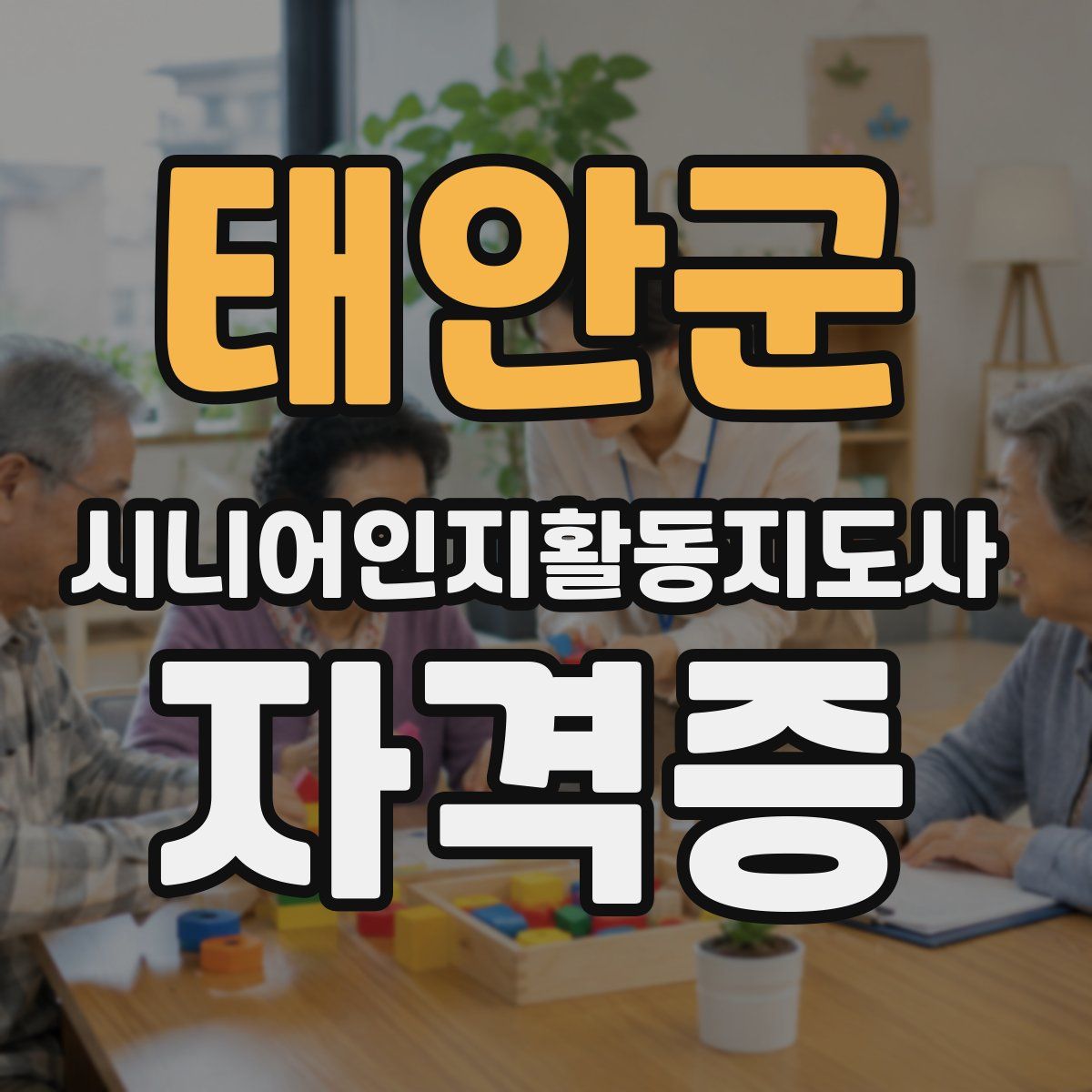 태안군 시니어인지활동지도사 자격증
