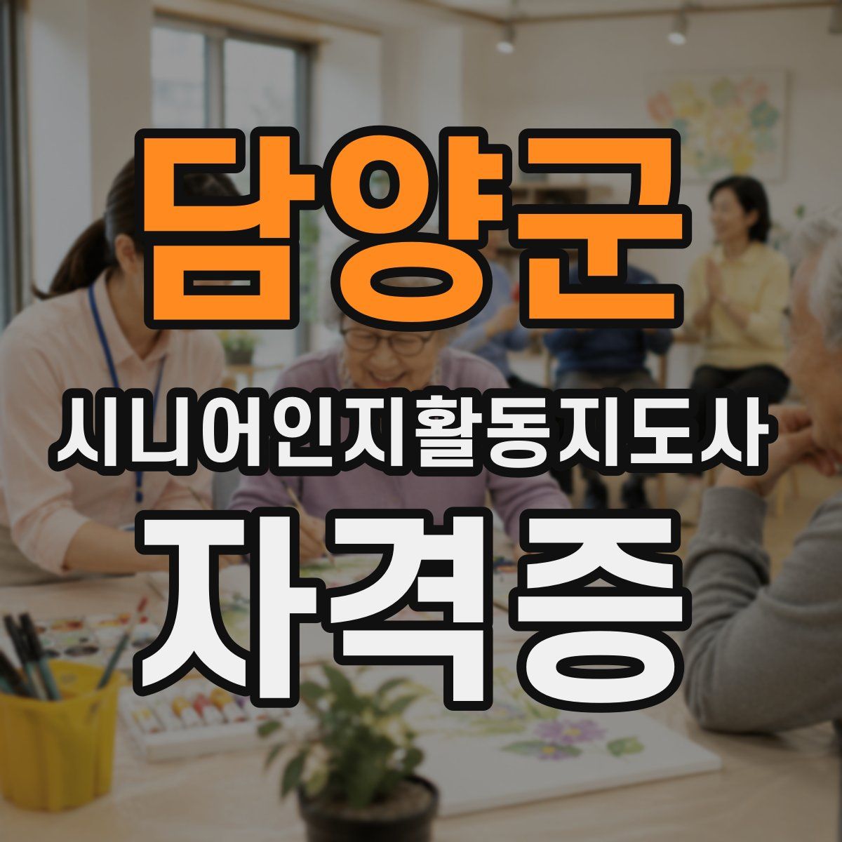 담양군 시니어인지활동지도사 자격증