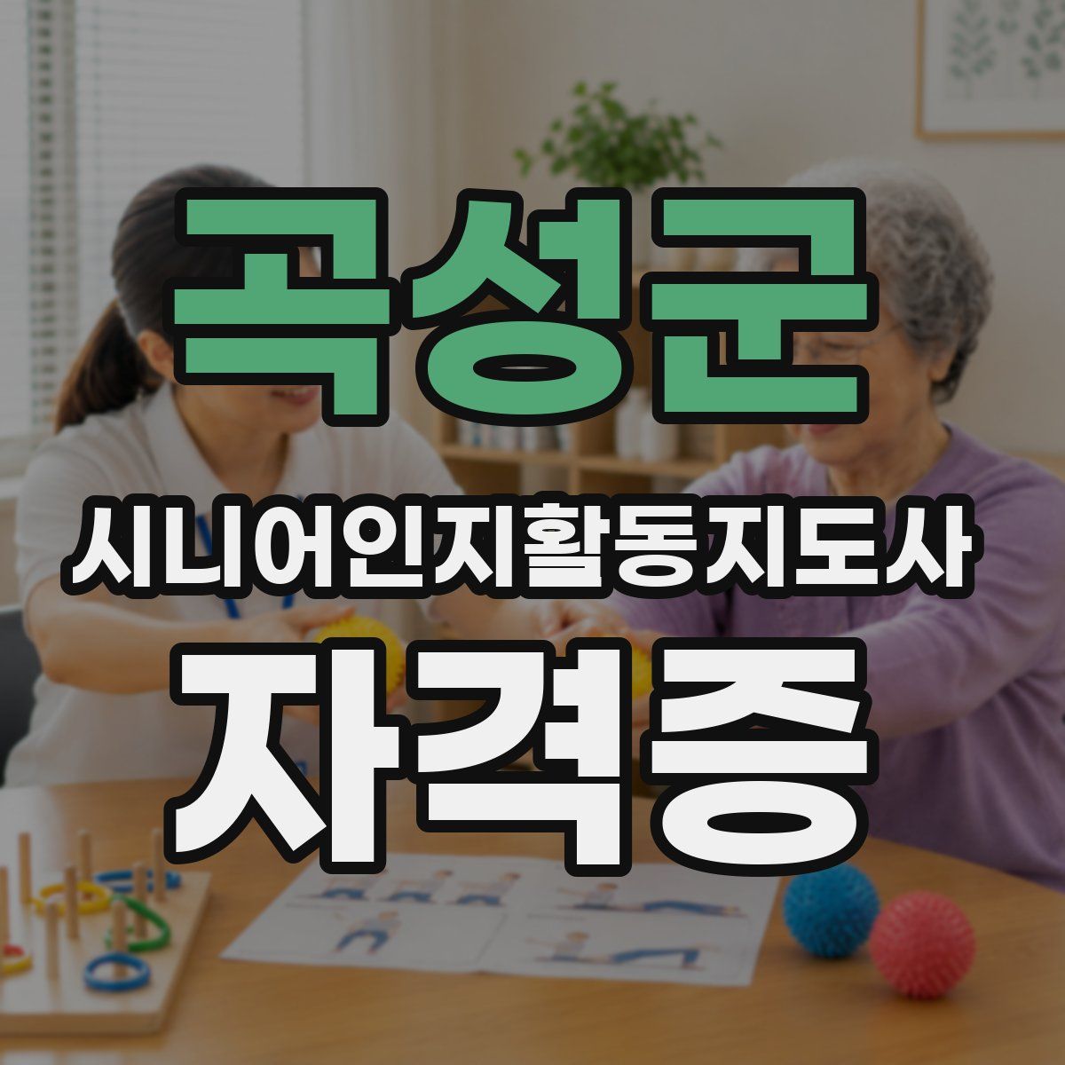 곡성군 시니어인지활동지도사 자격증