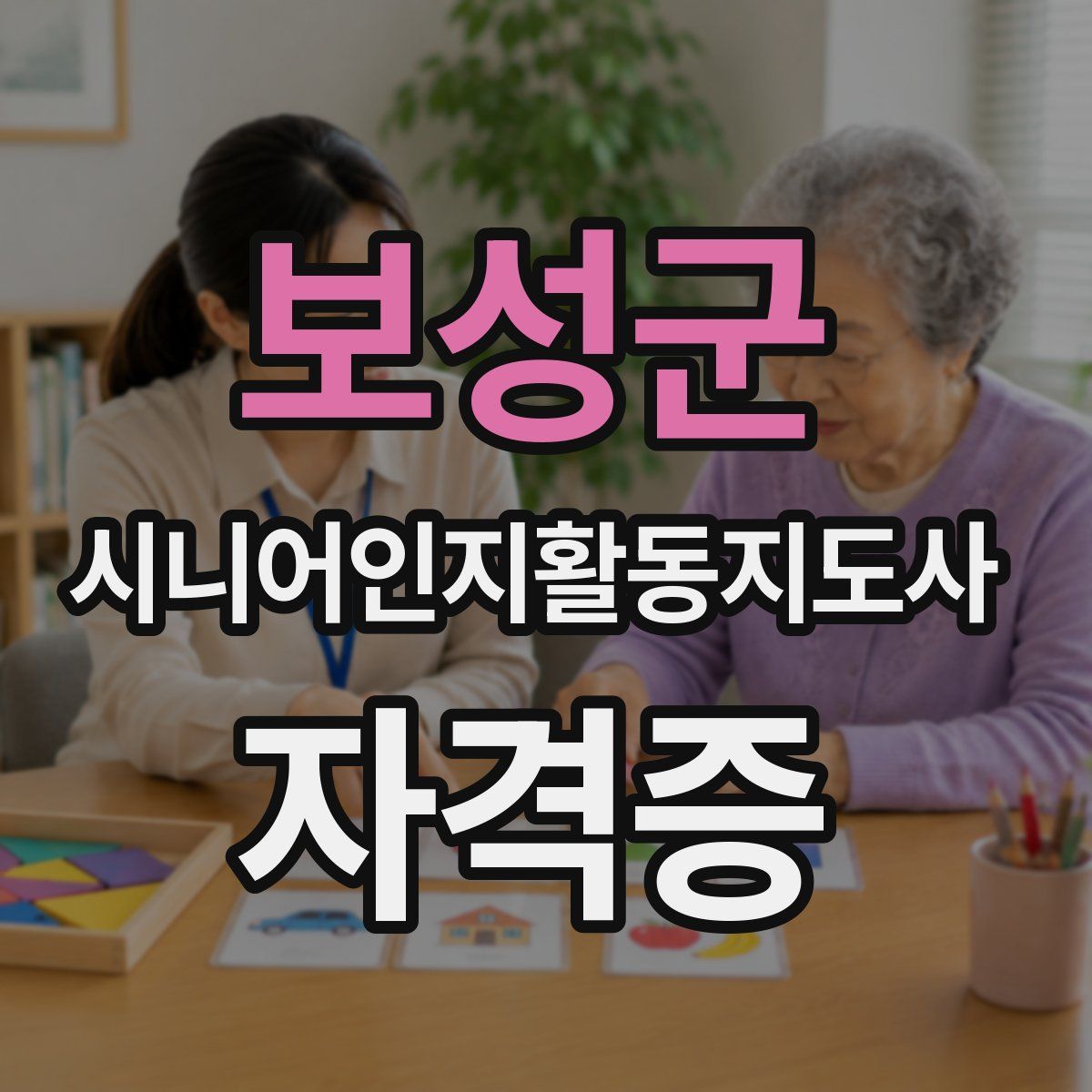 보성군 시니어인지활동지도사 자격증