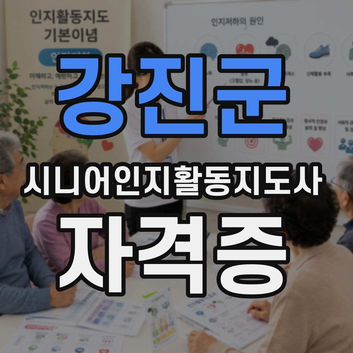 강진군 시니어인지활동지도사 자격증