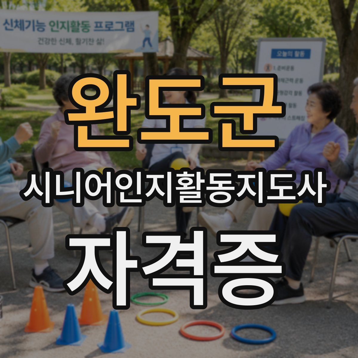 완도군 시니어인지활동지도사 자격증