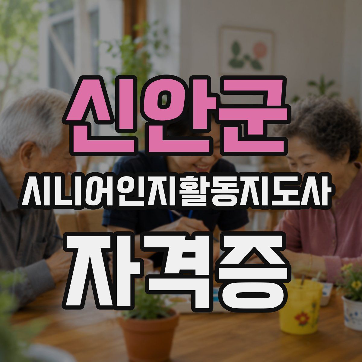 신안군 시니어인지활동지도사 자격증