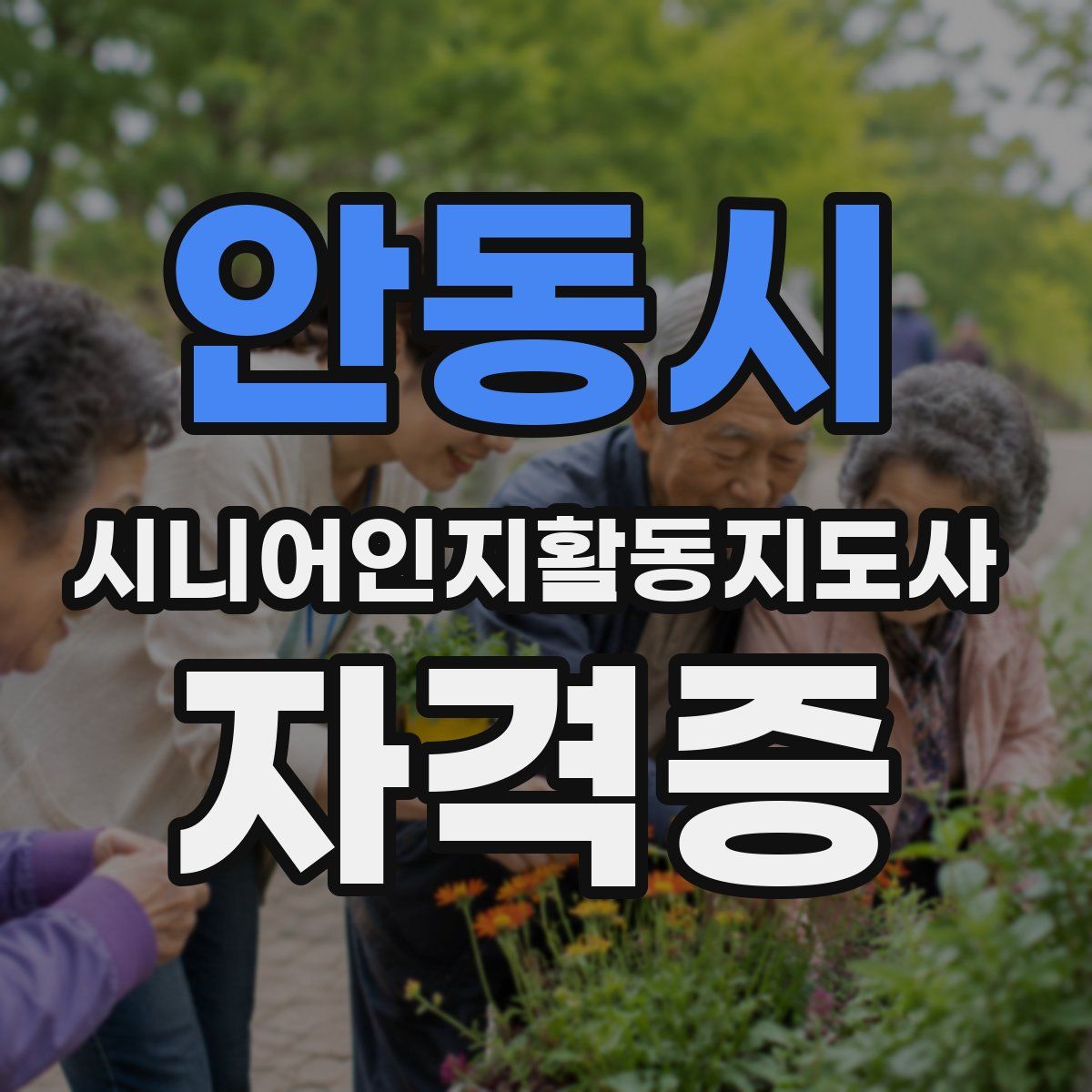 안동시 시니어인지활동지도사 자격증