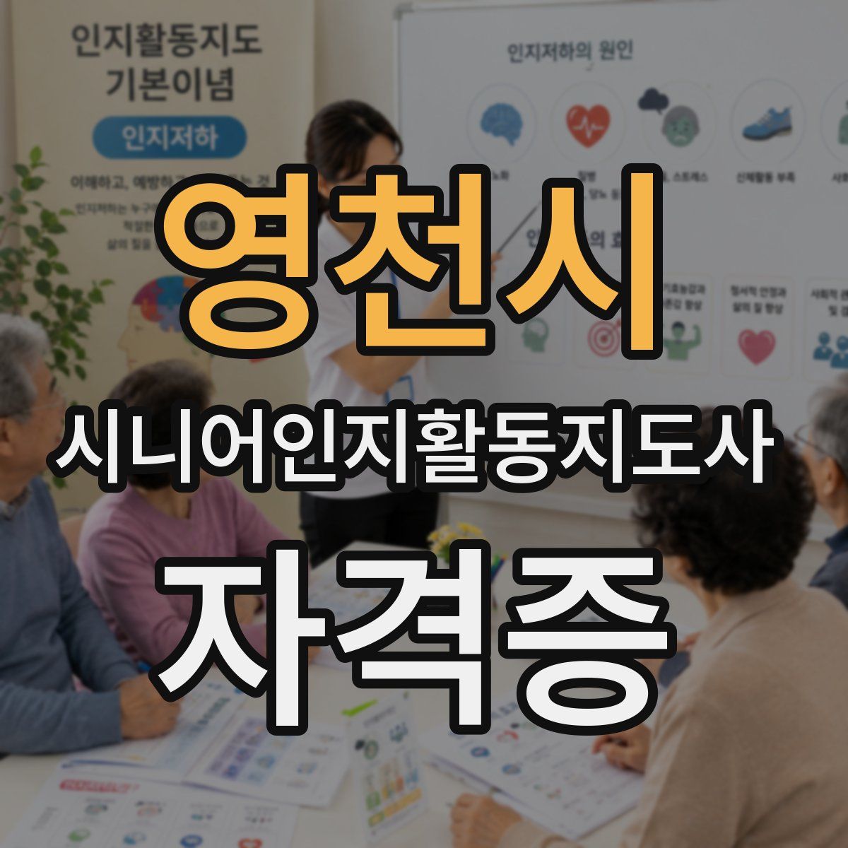영천시 시니어인지활동지도사 자격증