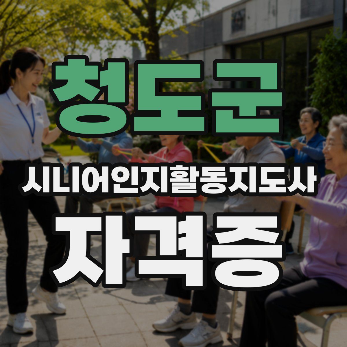 청도군 시니어인지활동지도사 자격증