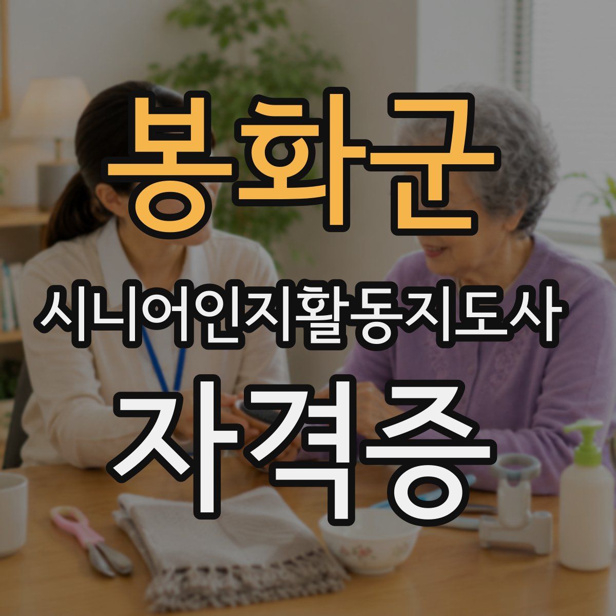 봉화군 시니어인지활동지도사 자격증