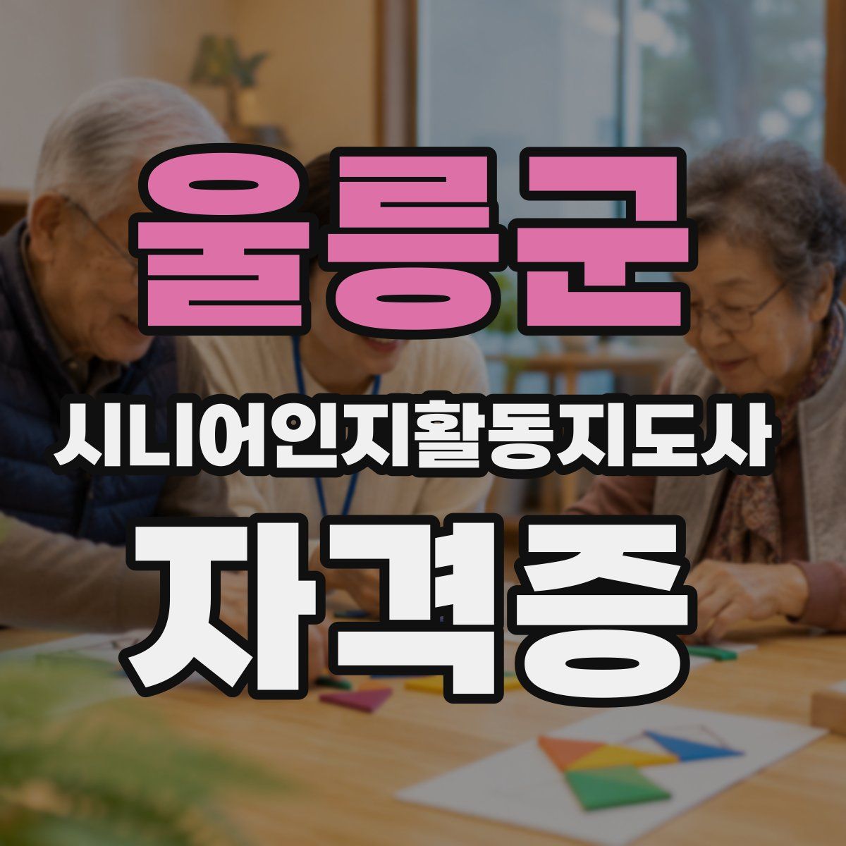 울릉군 시니어인지활동지도사 자격증