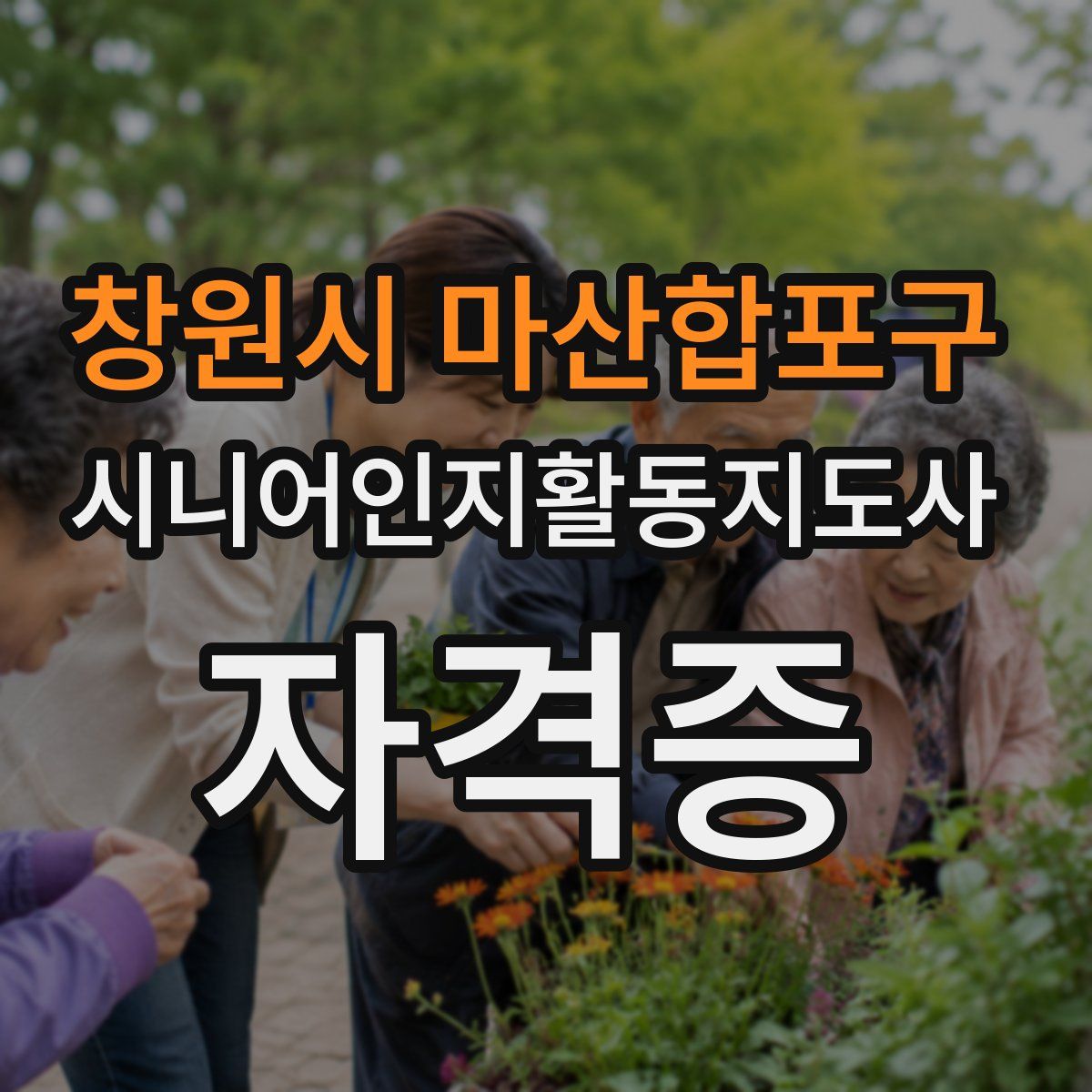 창원시 마산합포구 시니어인지활동지도사 자격증