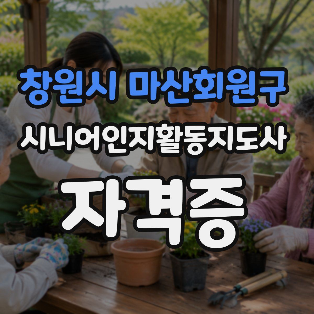 창원시 마산회원구 시니어인지활동지도사 자격증