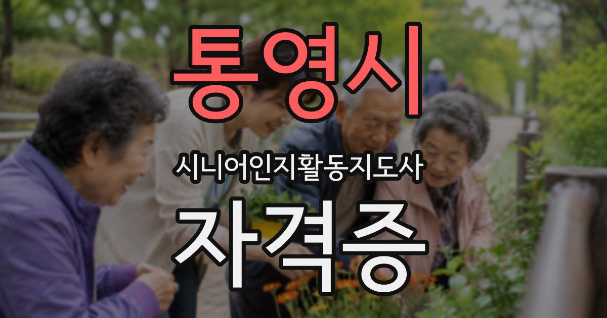 통영시 시니어인지활동지도사 자격증