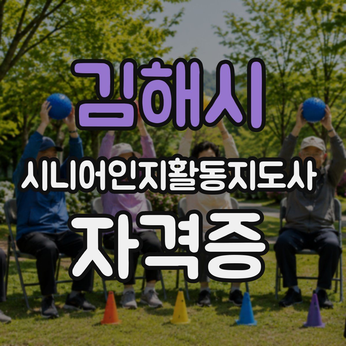 김해시 시니어인지활동지도사 자격증