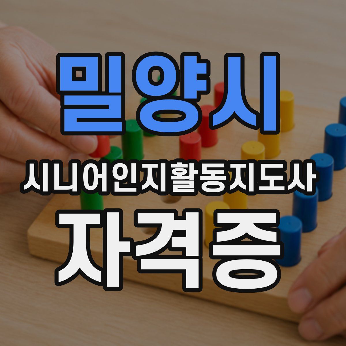 밀양시 시니어인지활동지도사 자격증