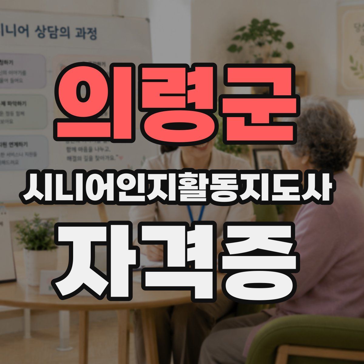 의령군 시니어인지활동지도사 자격증