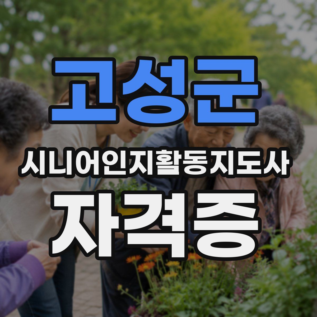 고성군 시니어인지활동지도사 자격증