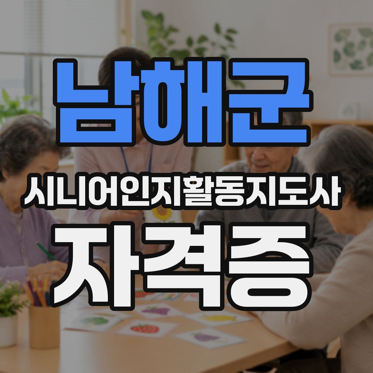 남해군 시니어인지활동지도사 자격증