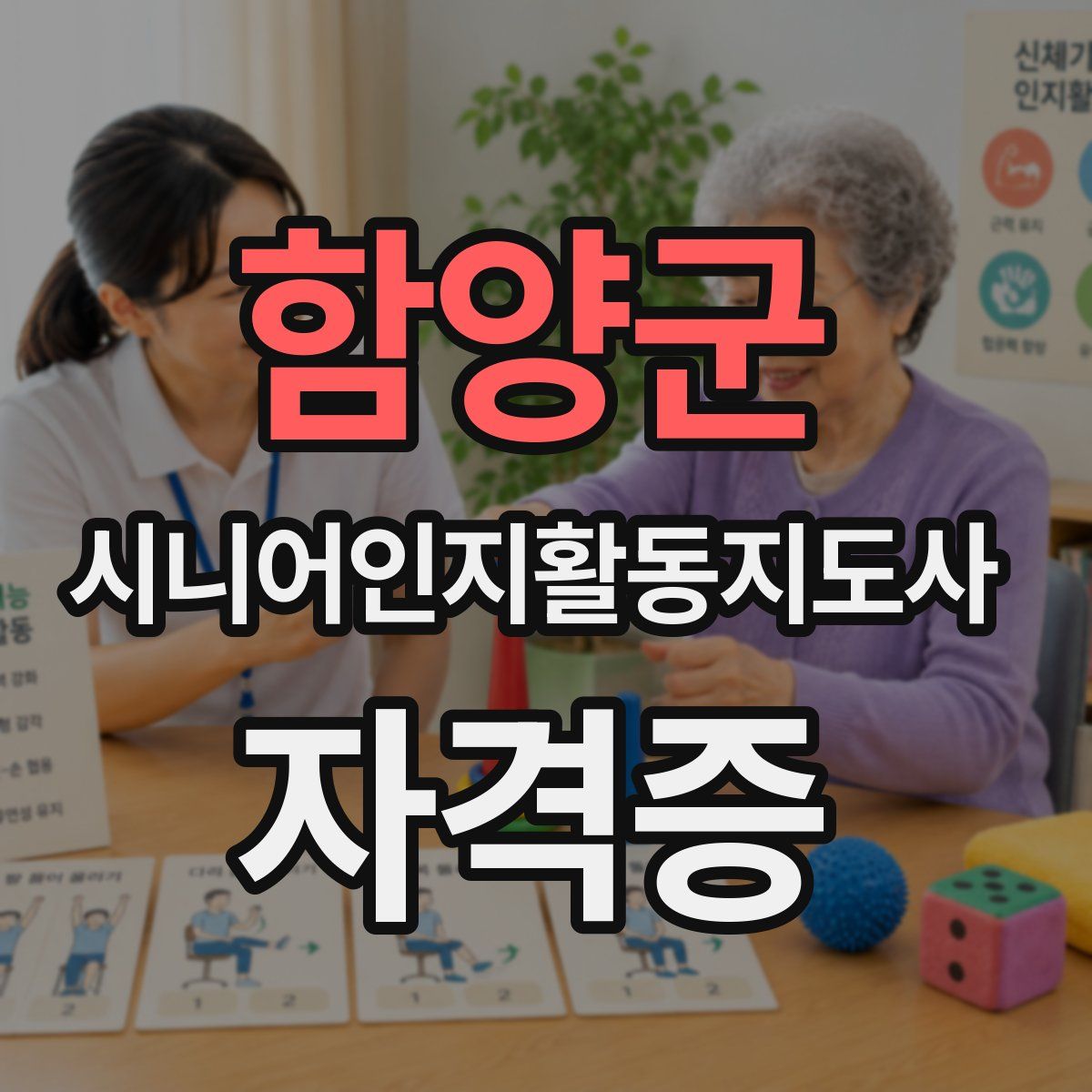 함양군 시니어인지활동지도사 자격증