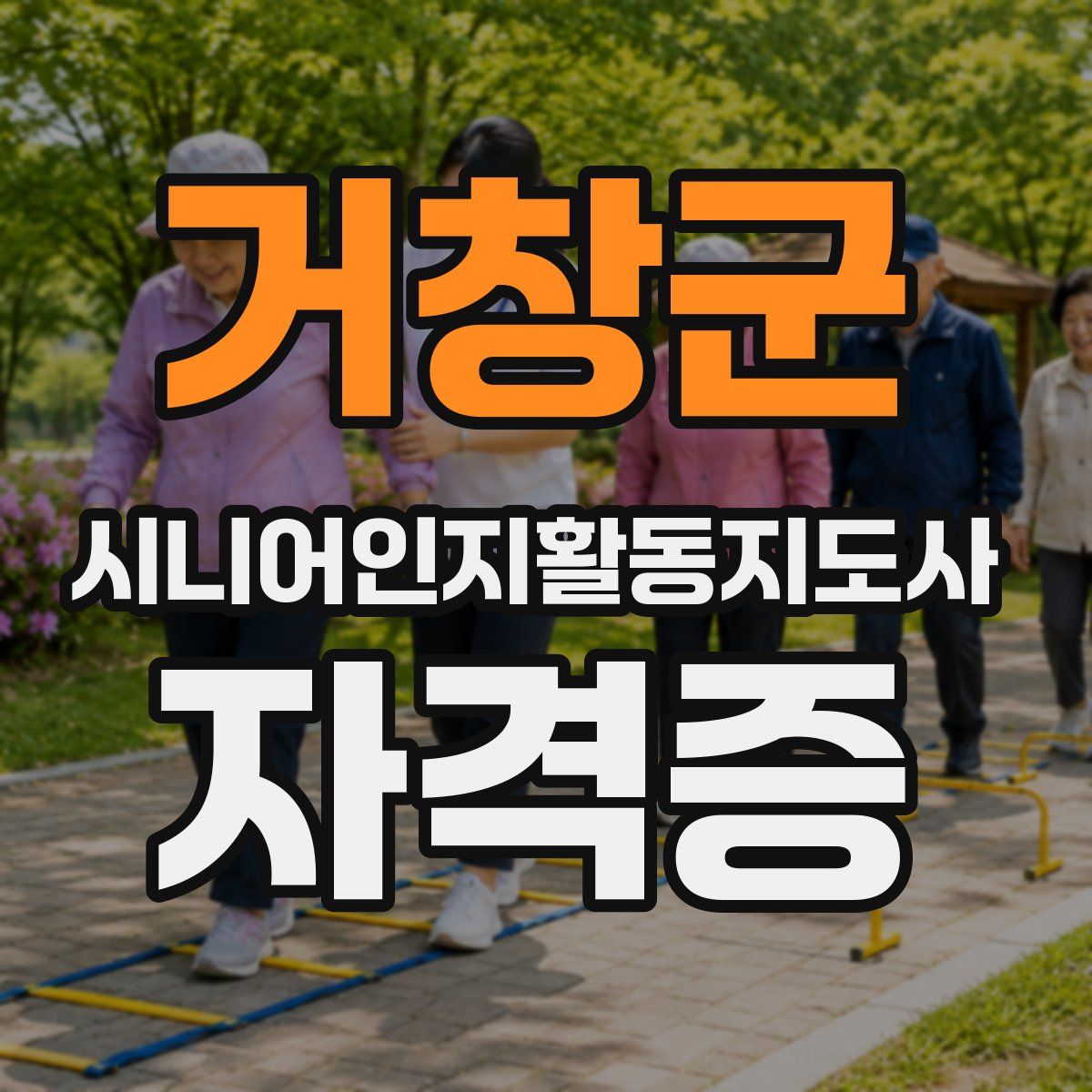 거창군 시니어인지활동지도사 자격증