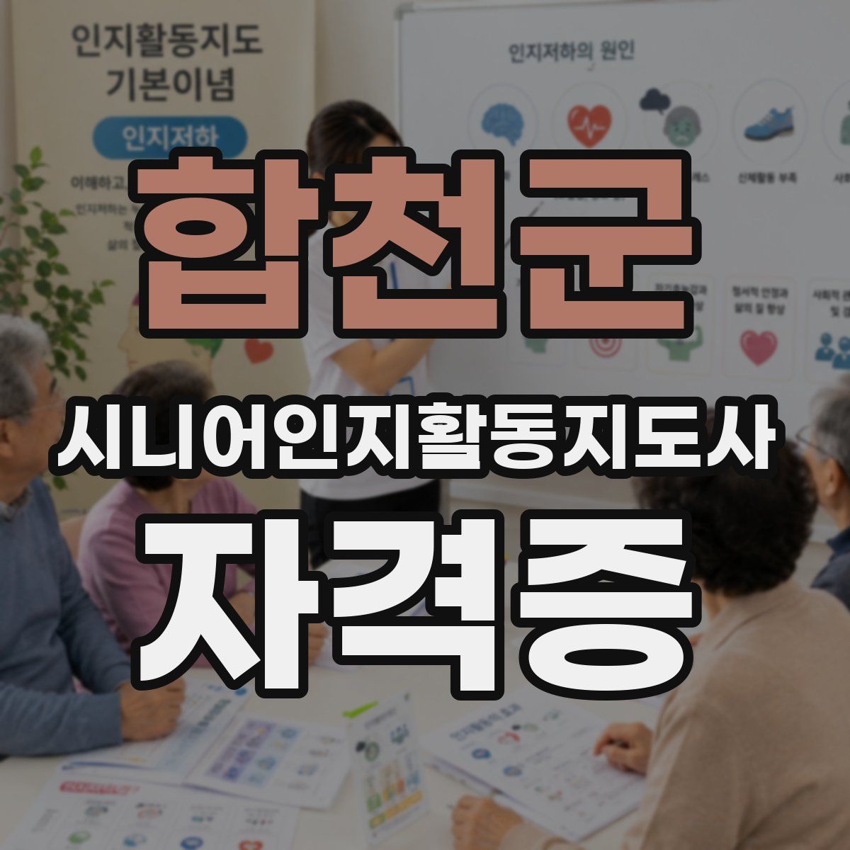 합천군 시니어인지활동지도사 자격증