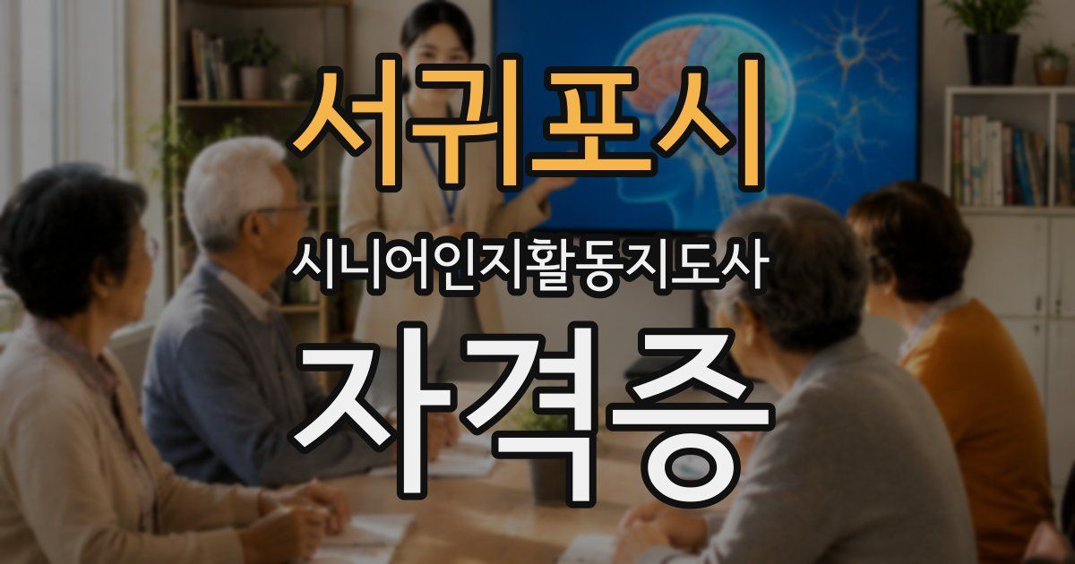 서귀포시 시니어인지활동지도사 자격증
