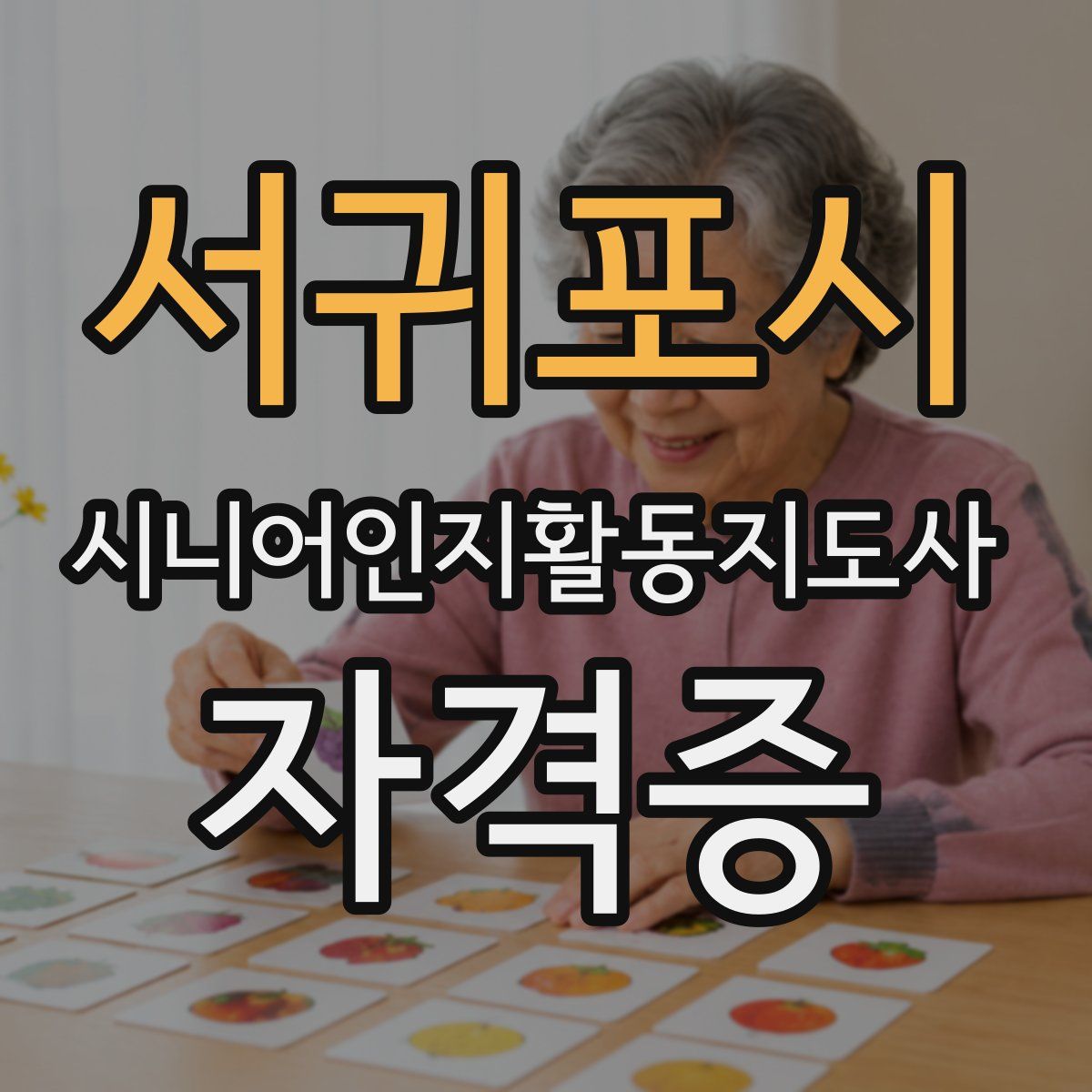 서귀포시 시니어인지활동지도사 자격증
