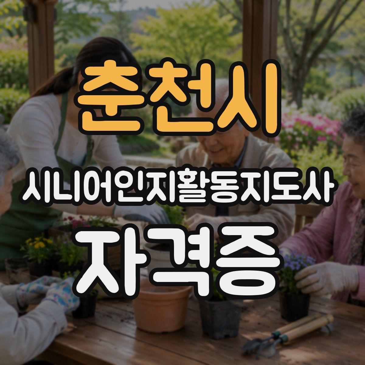 춘천시 시니어인지활동지도사 자격증