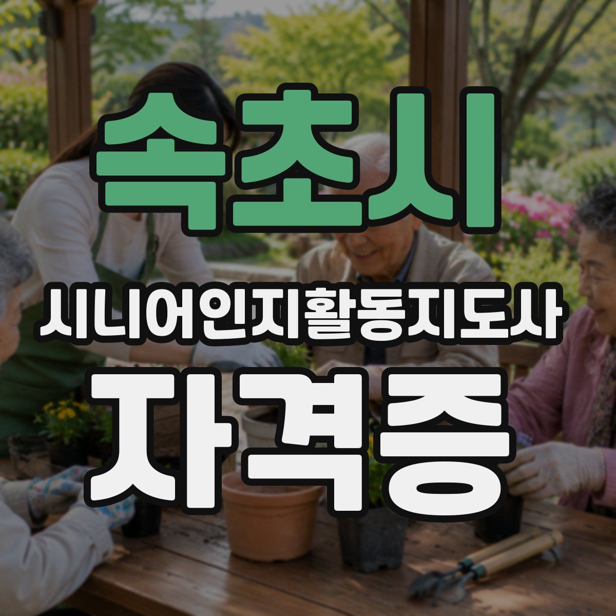 속초시 시니어인지활동지도사 자격증