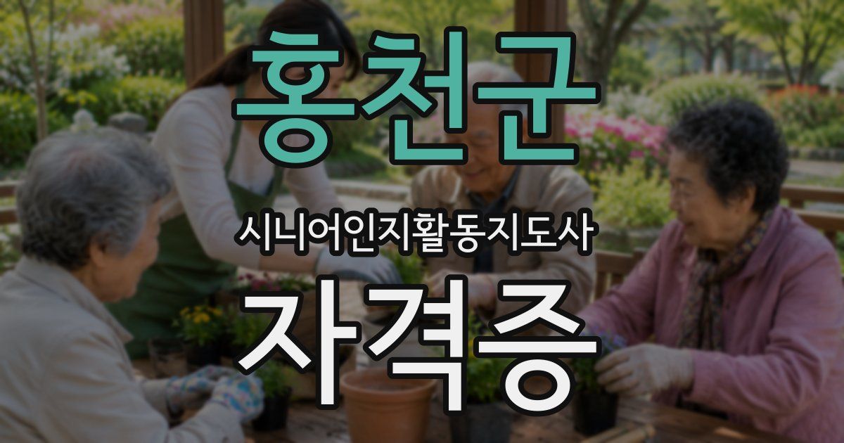 홍천군 시니어인지활동지도사 자격증