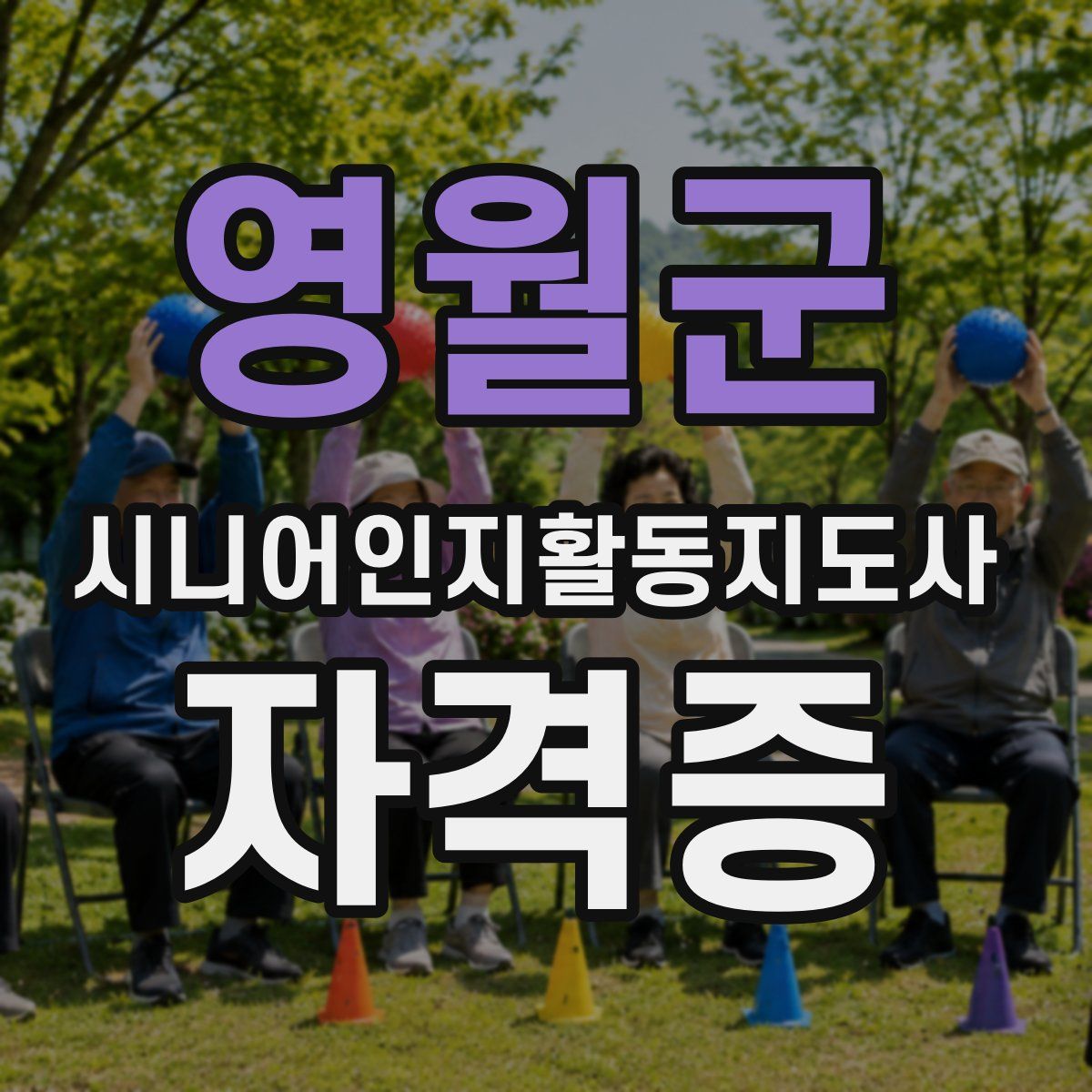 영월군 시니어인지활동지도사 자격증