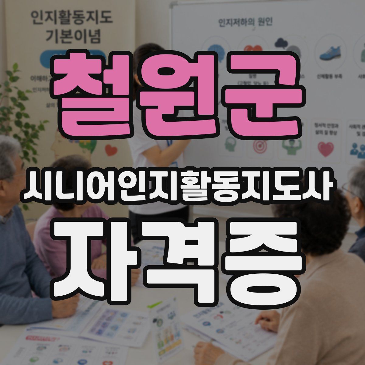 철원군 시니어인지활동지도사 자격증