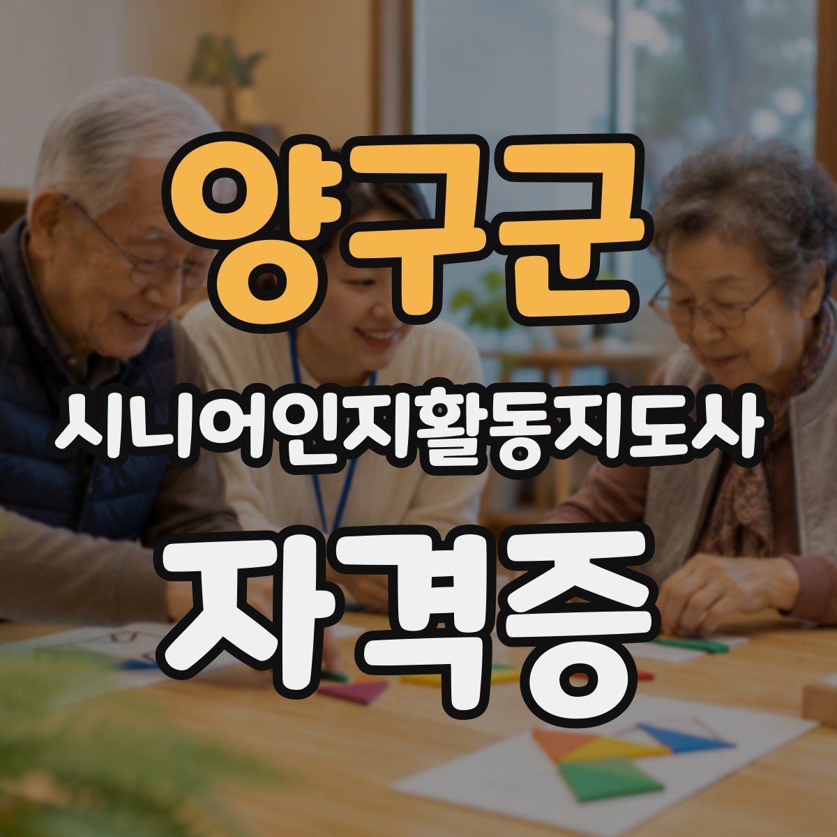 양구군 시니어인지활동지도사 자격증