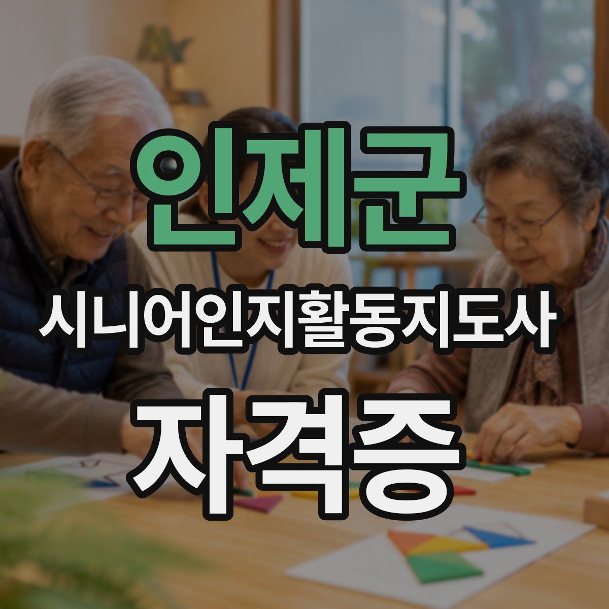 인제군 시니어인지활동지도사 자격증