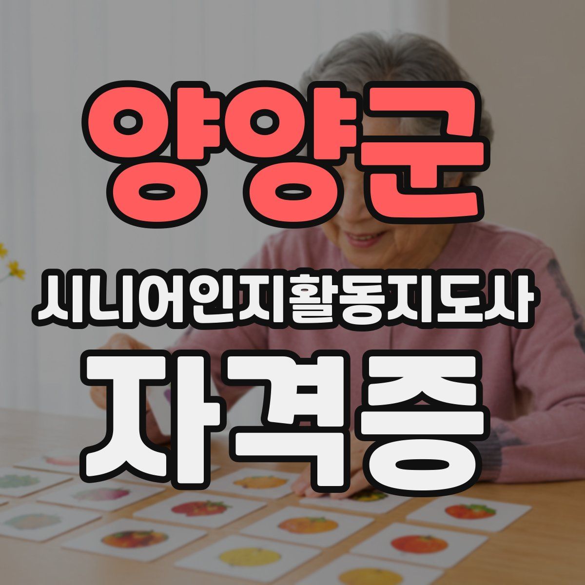 양양군 시니어인지활동지도사 자격증