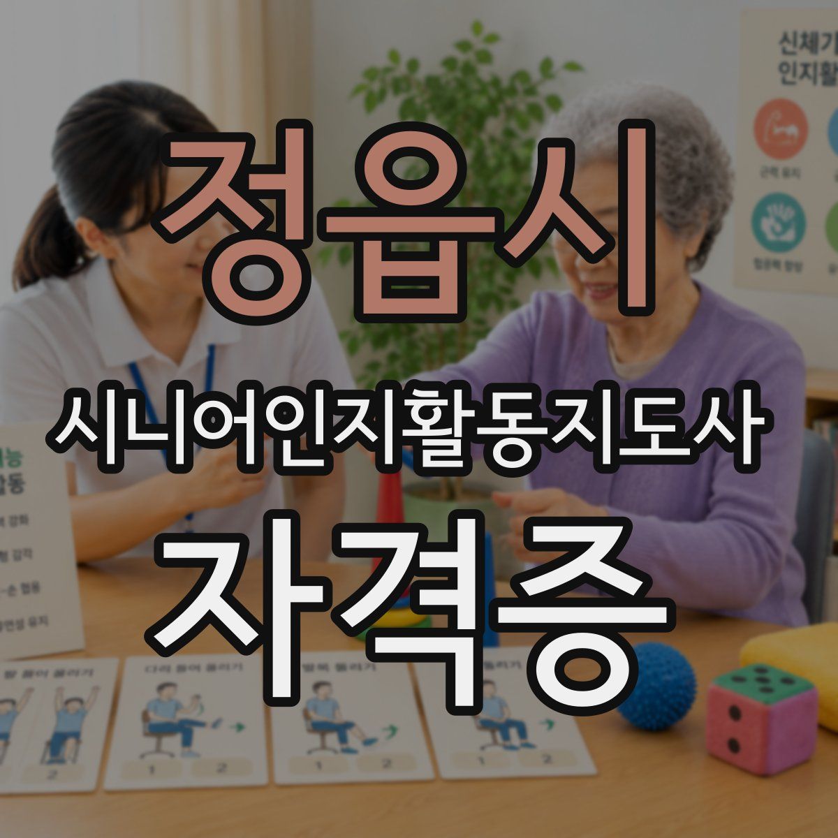 정읍시 시니어인지활동지도사 자격증