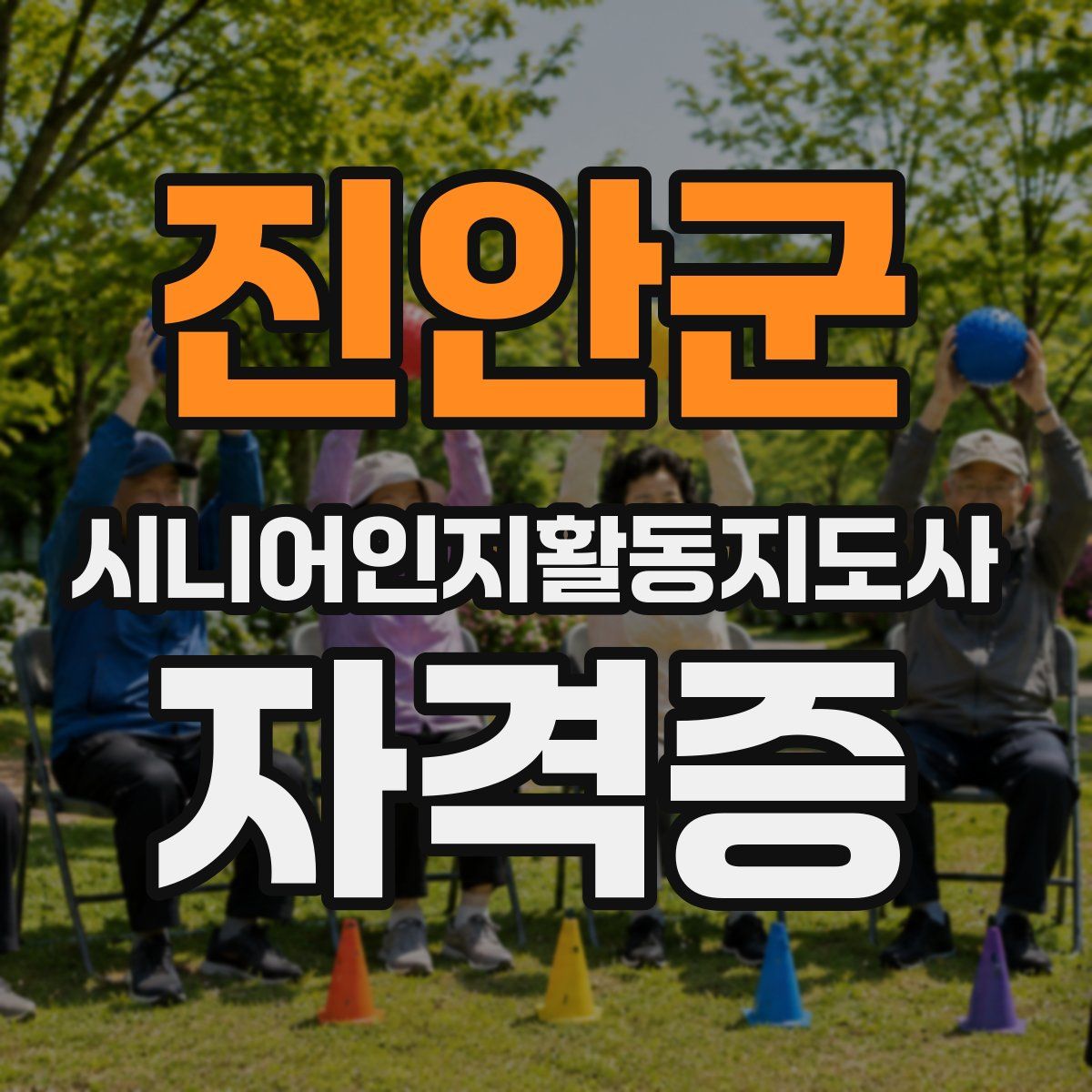 진안군 시니어인지활동지도사 자격증