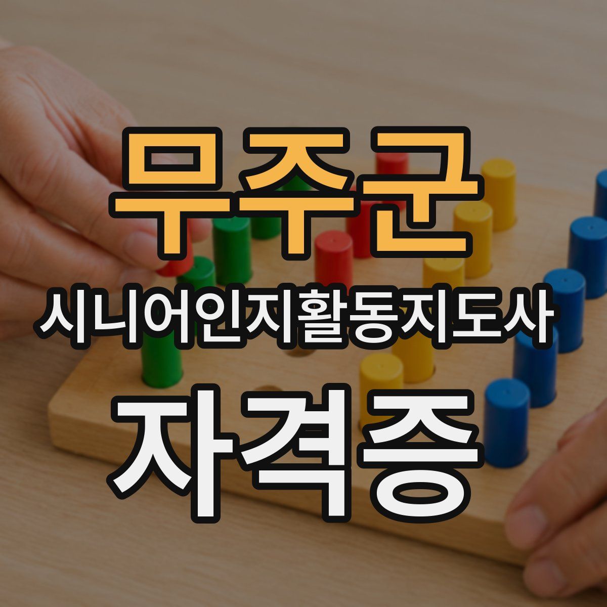 무주군 시니어인지활동지도사 자격증
