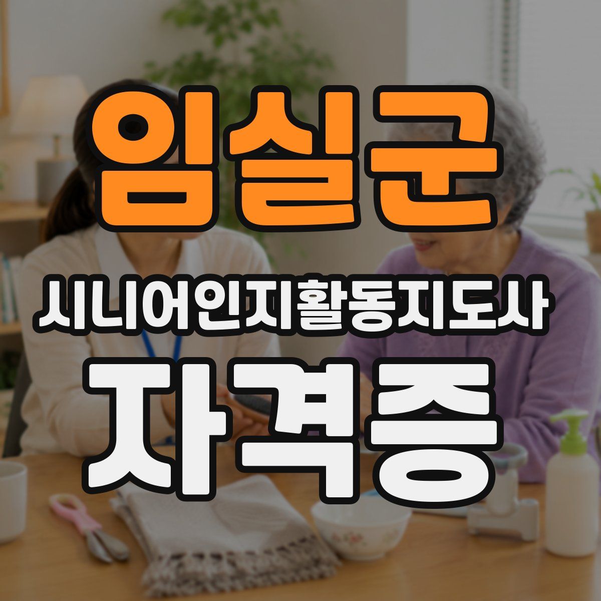 임실군 시니어인지활동지도사 자격증
