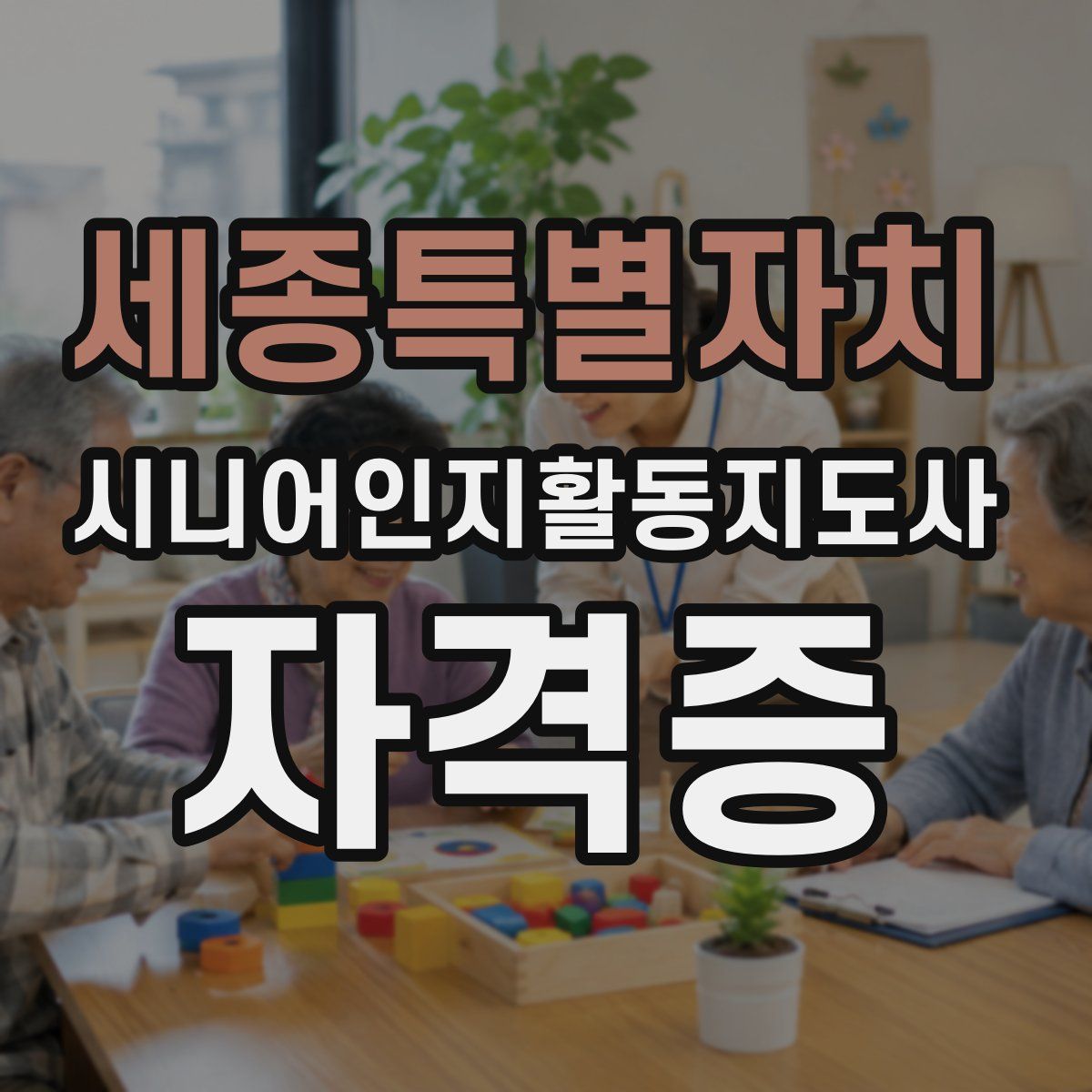 세종특별자치 시니어인지활동지도사 자격증