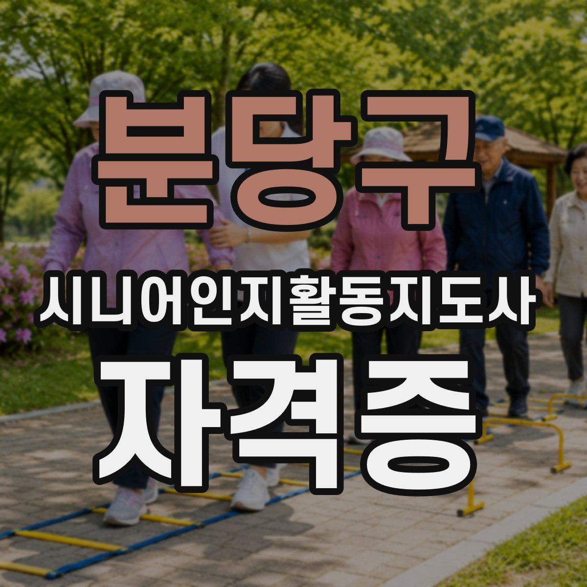 분당구 시니어인지활동지도사 자격증